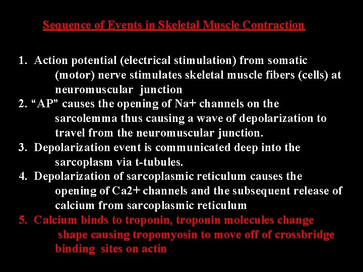 Sequence of Events in Skeletal Muscle Contraction 1. Action potential (electrical stimulation) from somatic