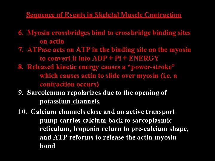 Sequence of Events in Skeletal Muscle Contraction 6. Myosin crossbridges bind to crossbridge binding