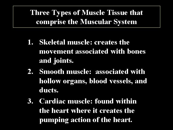 Three Types of Muscle Tissue that comprise the Muscular System 1. Skeletal muscle: creates