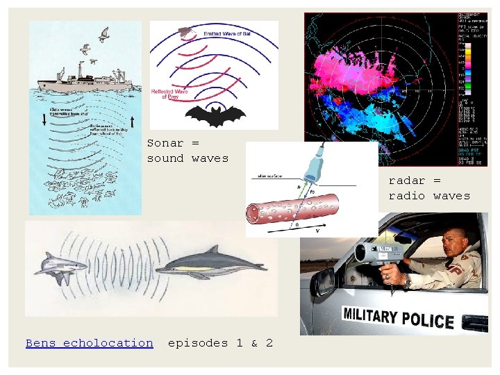 Sonar = sound waves radar = radio waves Bens echolocation episodes 1 & 2