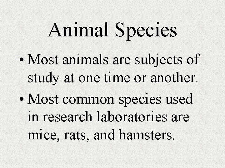 Animal Species • Most animals are subjects of study at one time or another.