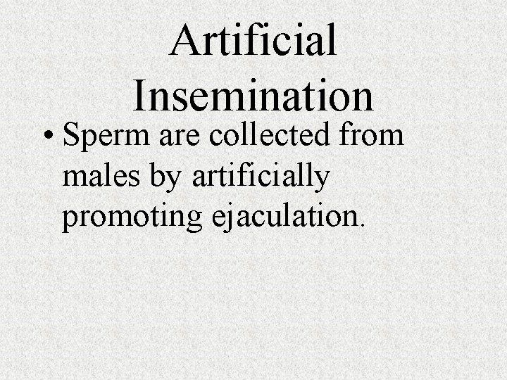 Artificial Insemination • Sperm are collected from males by artificially promoting ejaculation. 