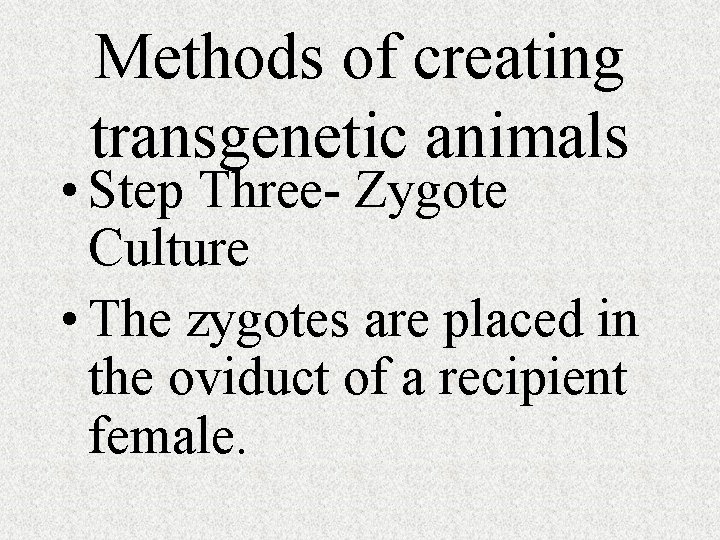 Methods of creating transgenetic animals • Step Three- Zygote Culture • The zygotes are