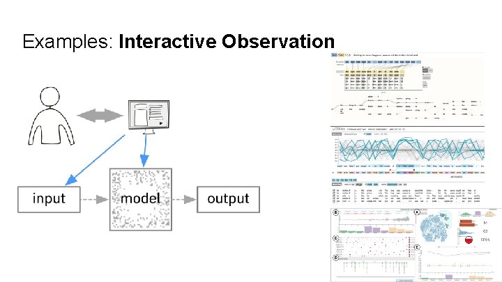 Examples: Interactive Observation 