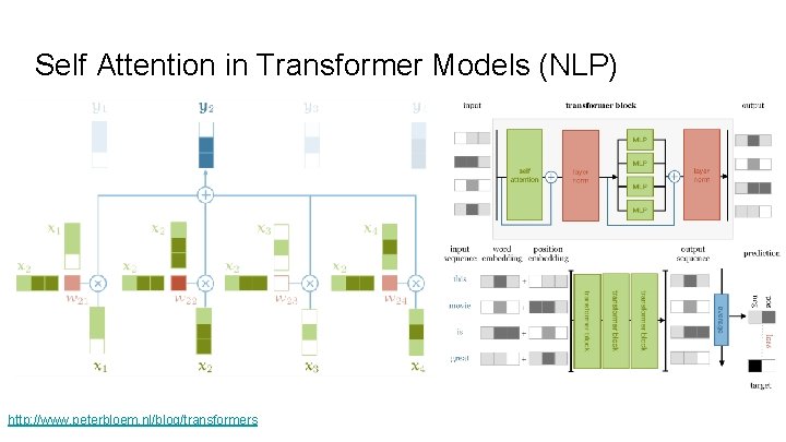 Self Attention in Transformer Models (NLP) http: //www. peterbloem. nl/blog/transformers 