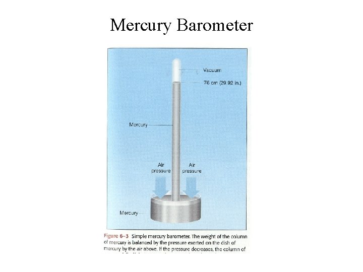 Mercury Barometer 