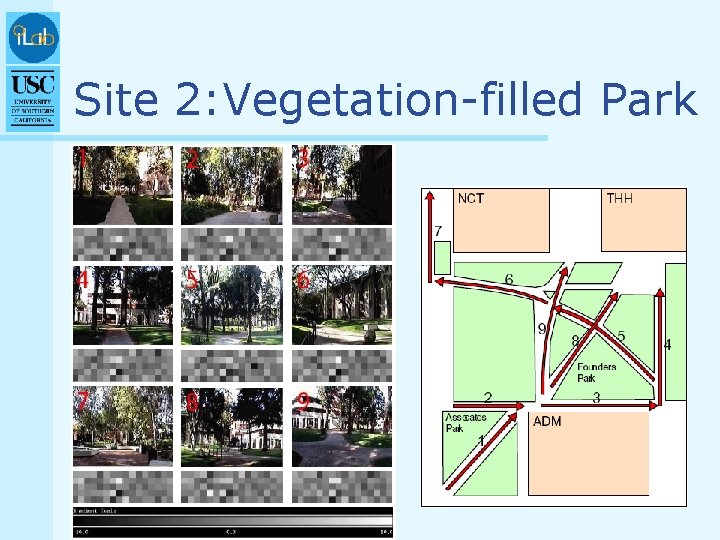 Site 2: Vegetation-filled Park 