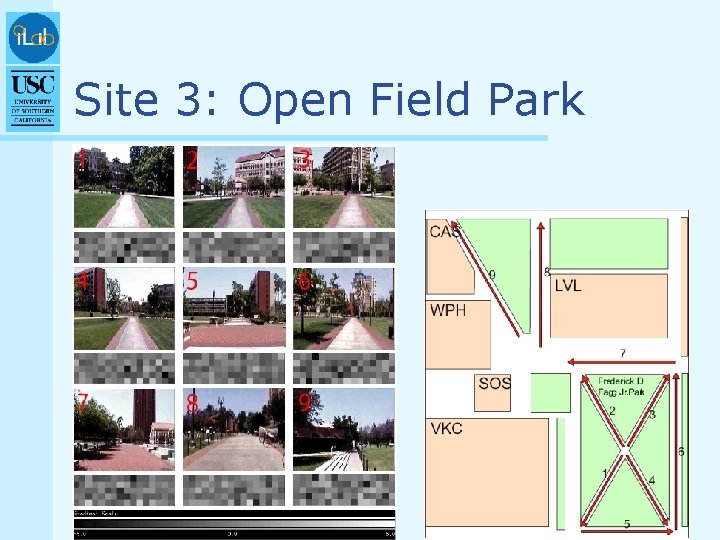Site 3: Open Field Park 
