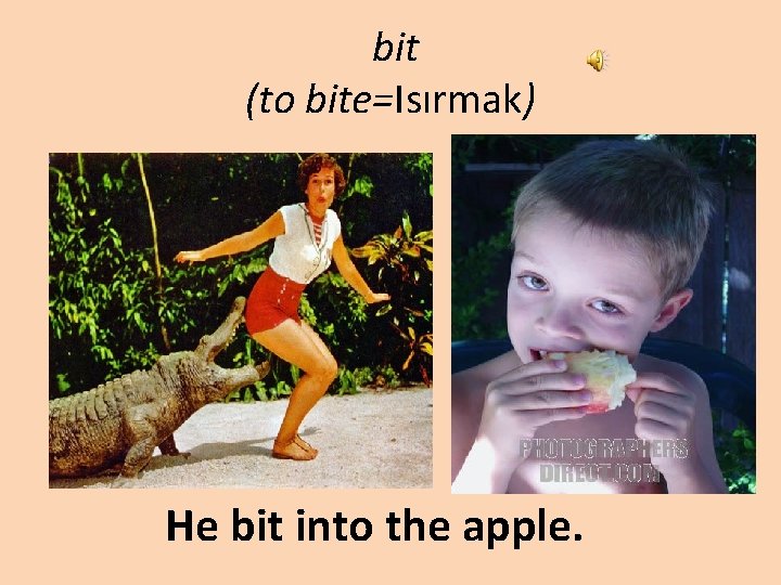 bit (to bite=Isırmak) He bit into the apple. 