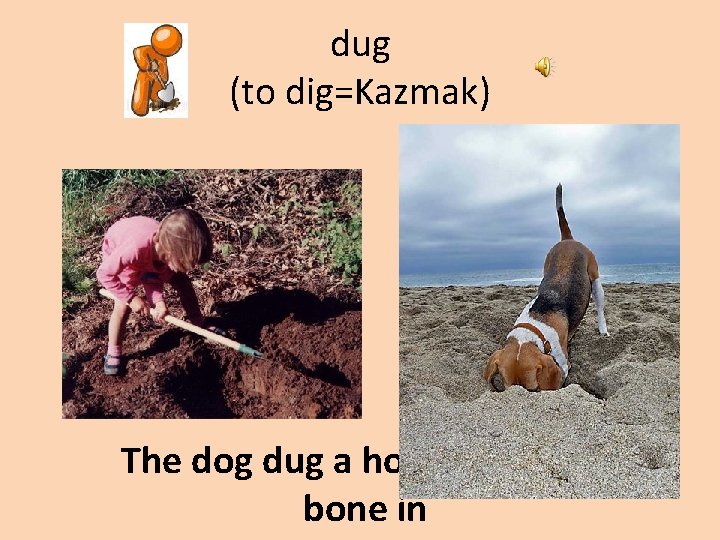 dug (to dig=Kazmak) The dog dug a hole to hide its bone in 