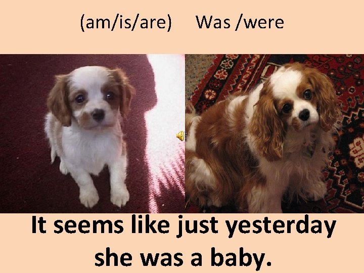 (am/is/are) Was /were It seems like just yesterday she was a baby. 