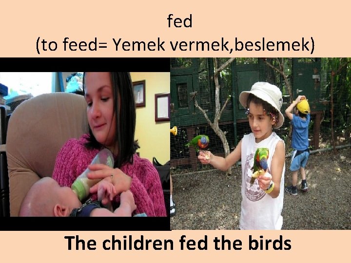 fed (to feed= Yemek vermek, beslemek) The children fed the birds 