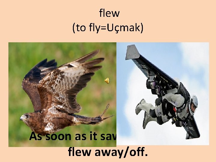 flew (to fly=Uçmak) As soon as it saw us, the bird flew away/off. 