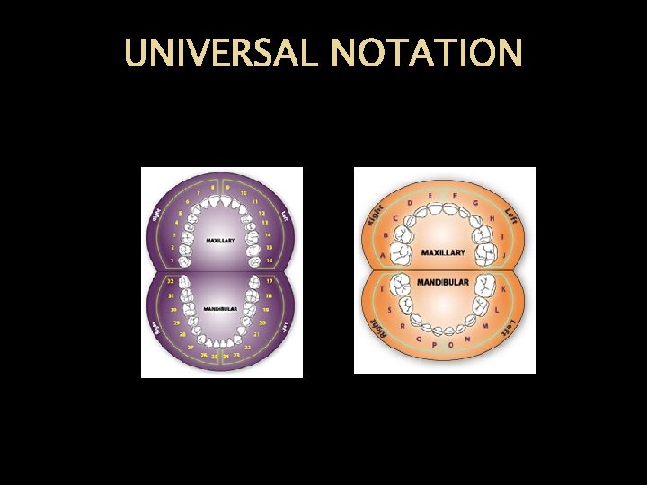 UNIVERSAL NOTATION 