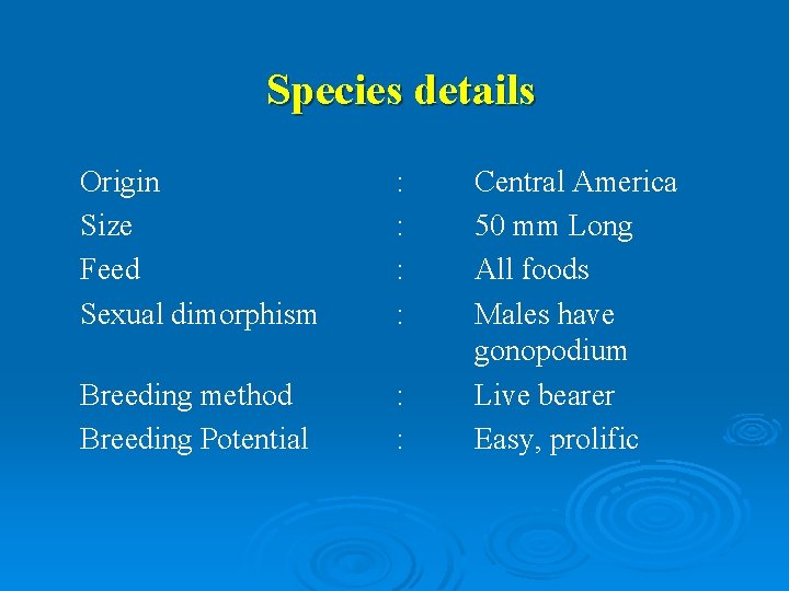 Species details Origin Size Feed Sexual dimorphism : : Breeding method Breeding Potential :