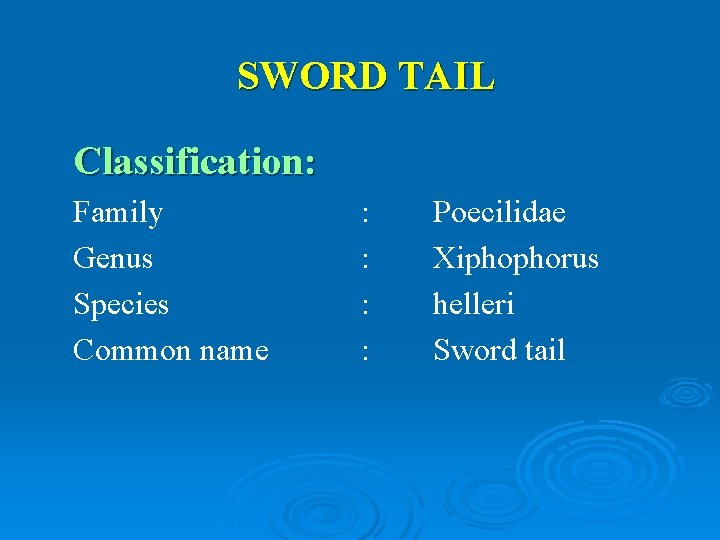 SWORD TAIL Classification: Family Genus Species Common name : : Poecilidae Xiphophorus helleri Sword