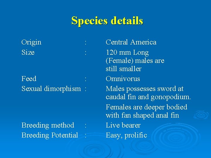 Species details Origin Size : : Feed : Sexual dimorphism : Breeding method :