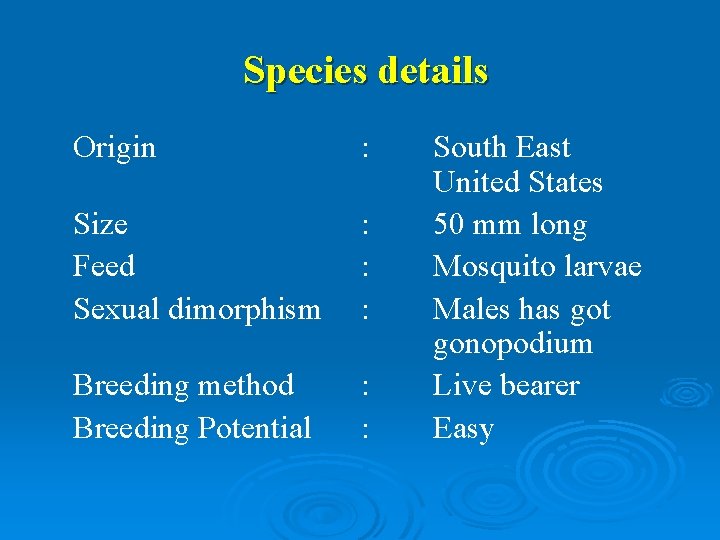 Species details Origin : Size Feed Sexual dimorphism : : : Breeding method Breeding