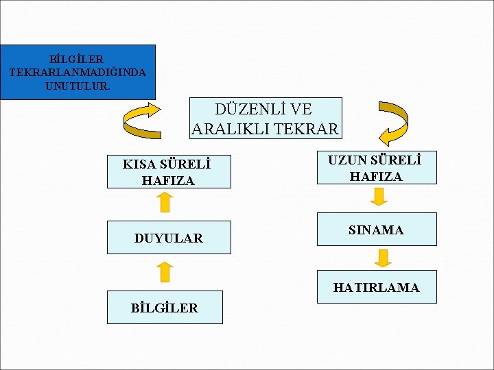 BİLGİLER TEKRARLANMADIĞINDA UNUTULUR. DÜZENLİ VE ARALIKLI TEKRAR KISA SÜRELİ HAFIZA DUYULAR UZUN SÜRELİ HAFIZA