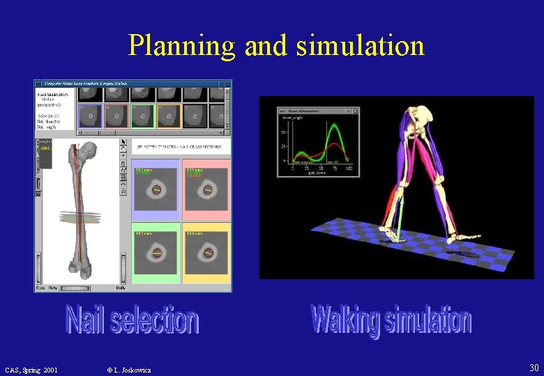 Planning and simulation CAS, Spring 2001 © L. Joskowicz 30 