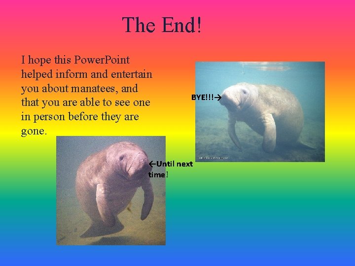 The End! I hope this Power. Point helped inform and entertain you about manatees,
