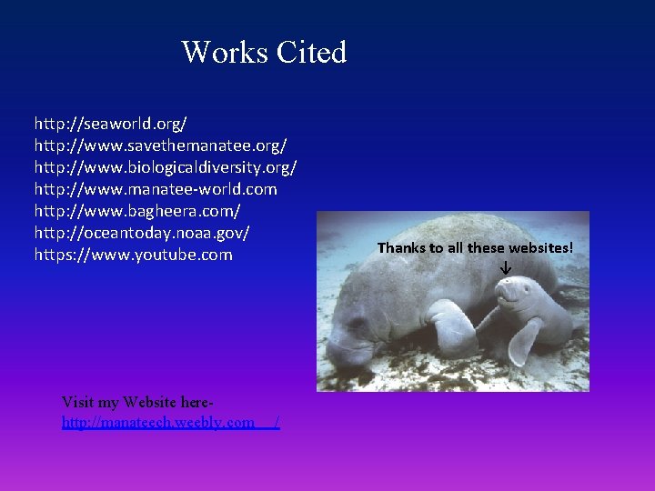 Works Cited http: //seaworld. org/ http: //www. savethemanatee. org/ http: //www. biologicaldiversity. org/ http: