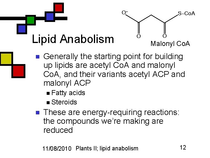 Lipid Anabolism n Malonyl Co. A Generally the starting point for building up lipids
