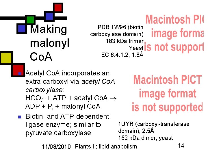 Making malonyl Co. A n n PDB 1 W 96 (biotin carboxylase domain) 183