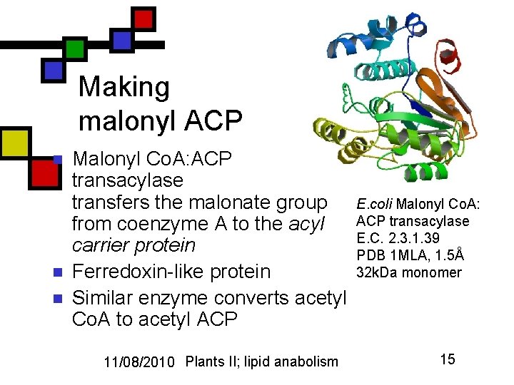 Making malonyl ACP n n n Malonyl Co. A: ACP transacylase transfers the malonate