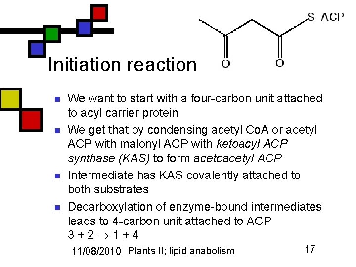 Initiation reaction n n We want to start with a four-carbon unit attached to