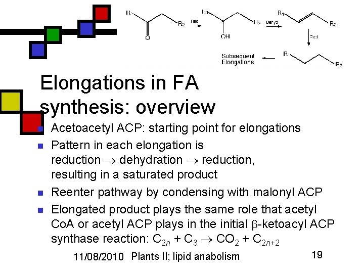 Elongations in FA synthesis: overview n n Acetoacetyl ACP: starting point for elongations Pattern