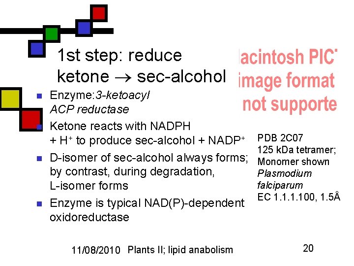 1 st step: reduce ketone sec-alcohol n n Enzyme: 3 -ketoacyl ACP reductase Ketone