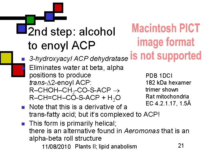 2 nd step: alcohol to enoyl ACP n n 3 -hydroxyacyl ACP dehydratase Eliminates