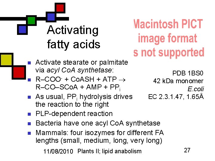 Activating fatty acids n n n Activate stearate or palmitate via acyl Co. A