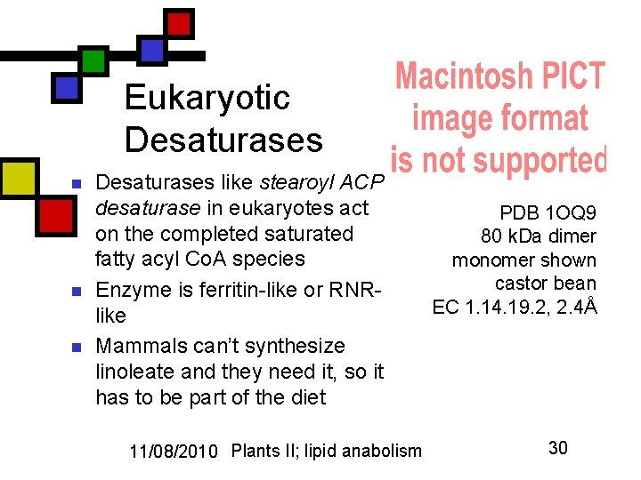 Eukaryotic Desaturases n n n Desaturases like stearoyl ACP desaturase in eukaryotes act on