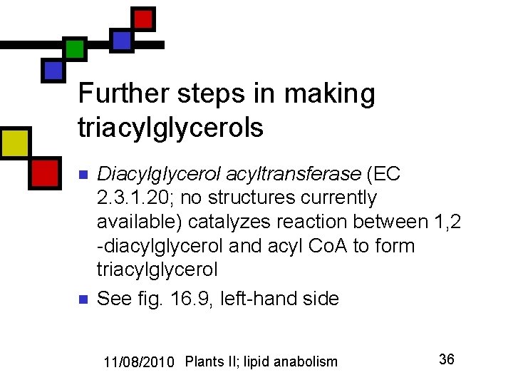 Further steps in making triacylglycerols n n Diacylglycerol acyltransferase (EC 2. 3. 1. 20;
