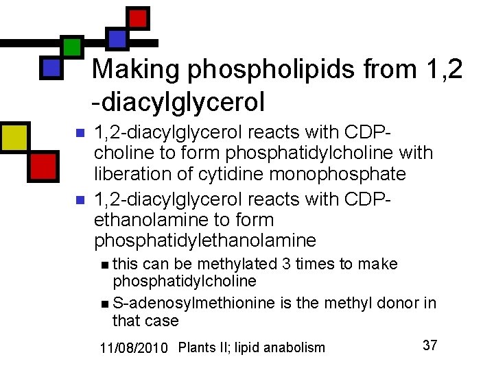 Making phospholipids from 1, 2 -diacylglycerol n n 1, 2 -diacylglycerol reacts with CDPcholine