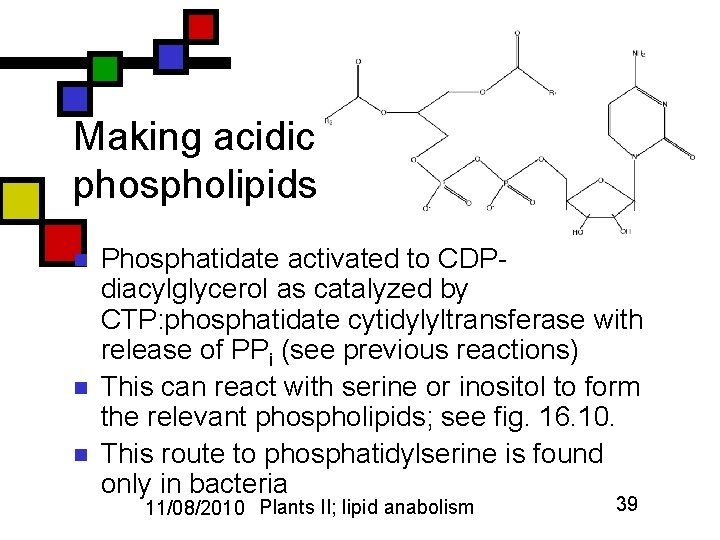 Making acidic phospholipids n n n Phosphatidate activated to CDPdiacylglycerol as catalyzed by CTP: