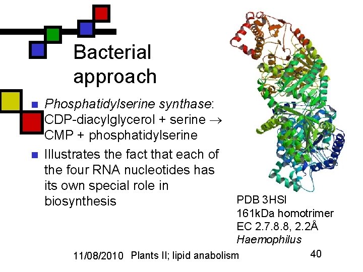 Bacterial approach n n Phosphatidylserine synthase: CDP-diacylglycerol + serine CMP + phosphatidylserine Illustrates the