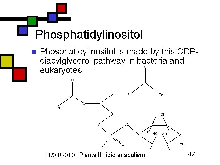 Phosphatidylinositol n Phosphatidylinositol is made by this CDPdiacylglycerol pathway in bacteria and eukaryotes 11/08/2010