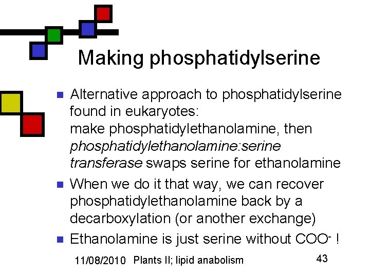 Making phosphatidylserine n n n Alternative approach to phosphatidylserine found in eukaryotes: make phosphatidylethanolamine,