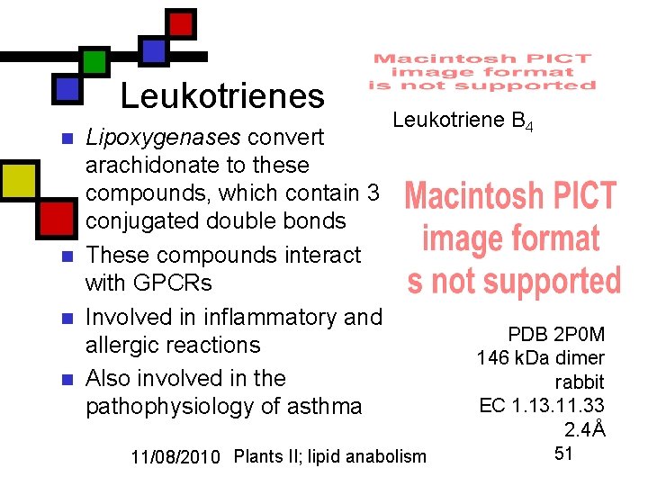 Leukotrienes n n Lipoxygenases convert arachidonate to these compounds, which contain 3 conjugated double