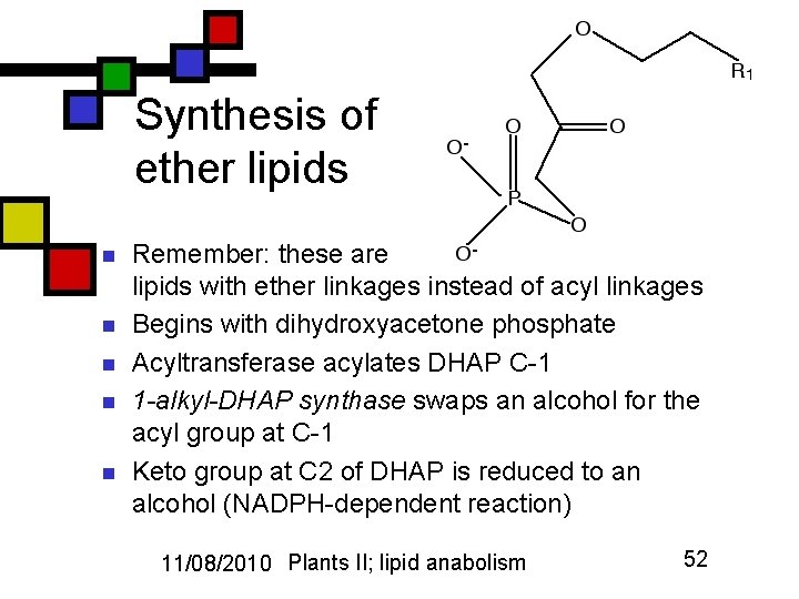 Synthesis of ether lipids n n n Remember: these are lipids with ether linkages