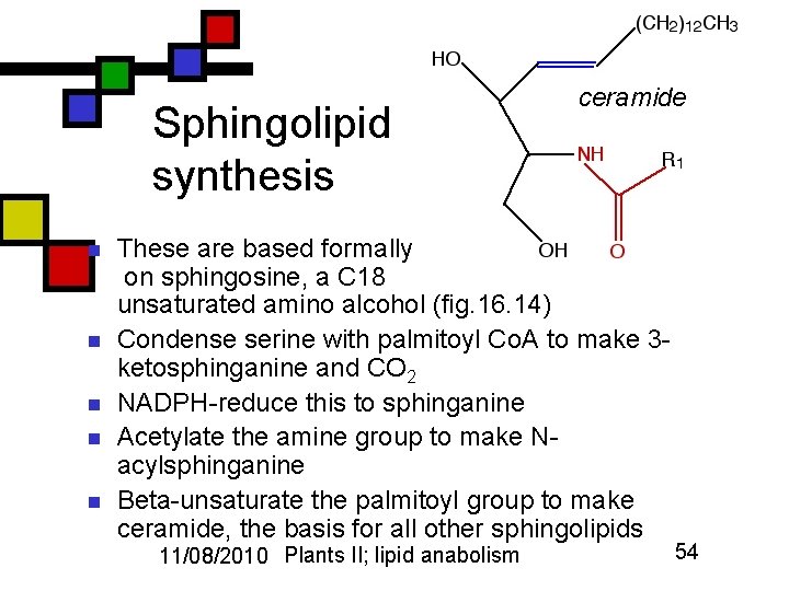 Sphingolipid synthesis n n n ceramide These are based formally on sphingosine, a C