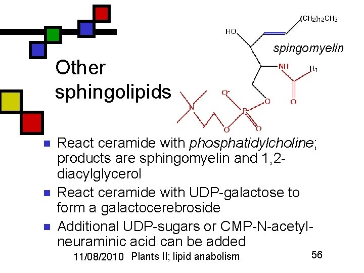 spingomyelin Other sphingolipids n n n React ceramide with phosphatidylcholine; products are sphingomyelin and