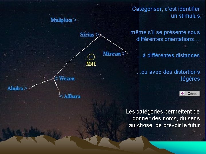 Catégoriser, c’est identifier un stimulus, même s’il se présente sous différentes orientations… …à différentes