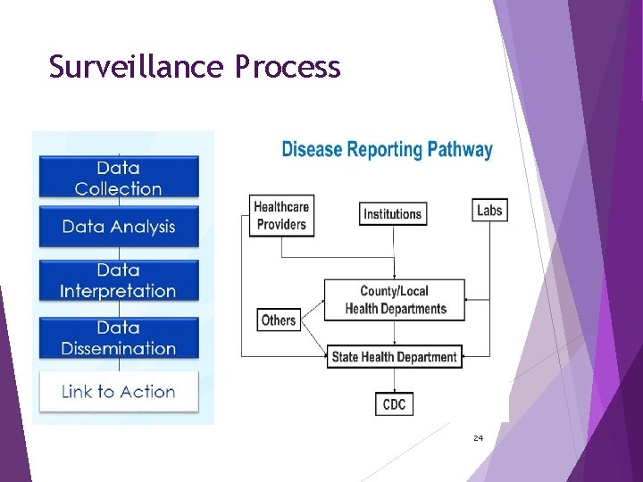 Surveillance Process 24 