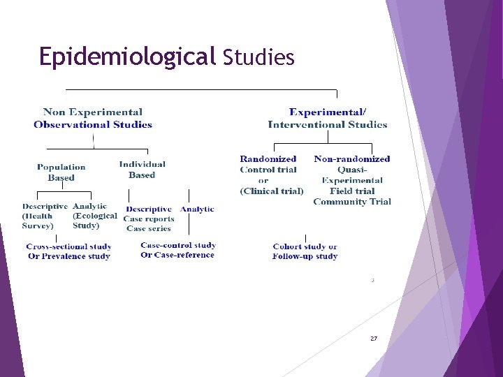 Epidemiological Studies 27 