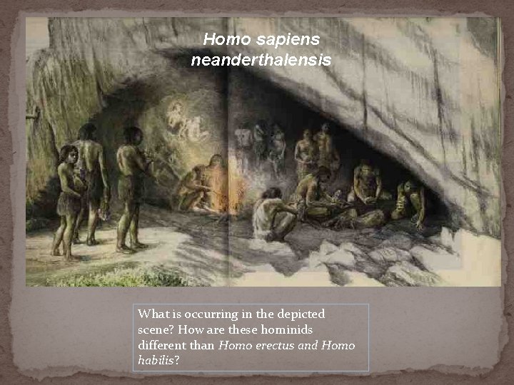 Homo sapiens neanderthalensis What is occurring in the depicted scene? How are these hominids