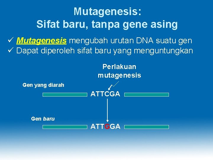 Mutagenesis: Sifat baru, tanpa gene asing ü Mutagenesis mengubah urutan DNA suatu gen ü